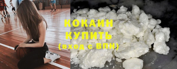 мдпв Касимов