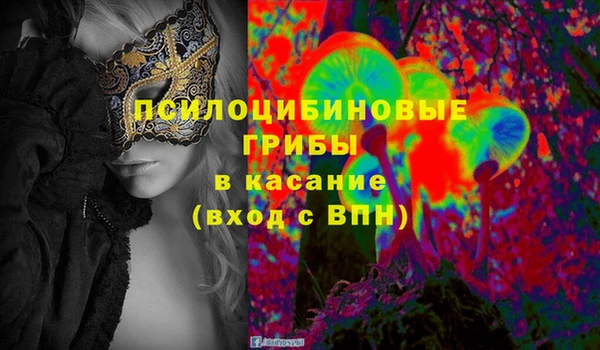 СК Каменск-Шахтинский