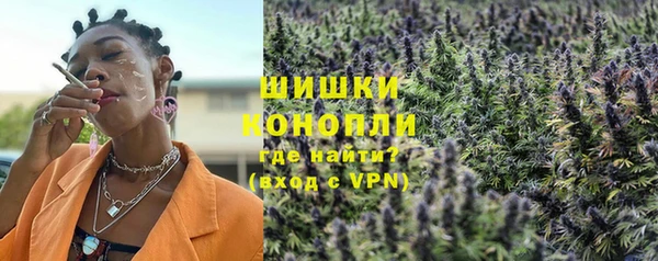 СК Каменск-Шахтинский
