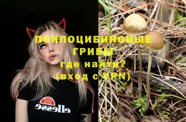 кокаин Каменногорск
