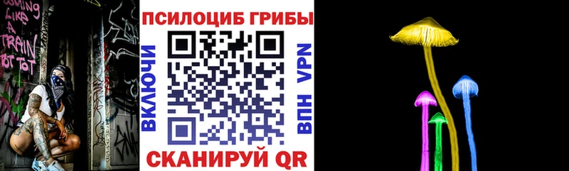 Псилоцибиновые грибы прущие грибы  Купить закладки  Кадников 